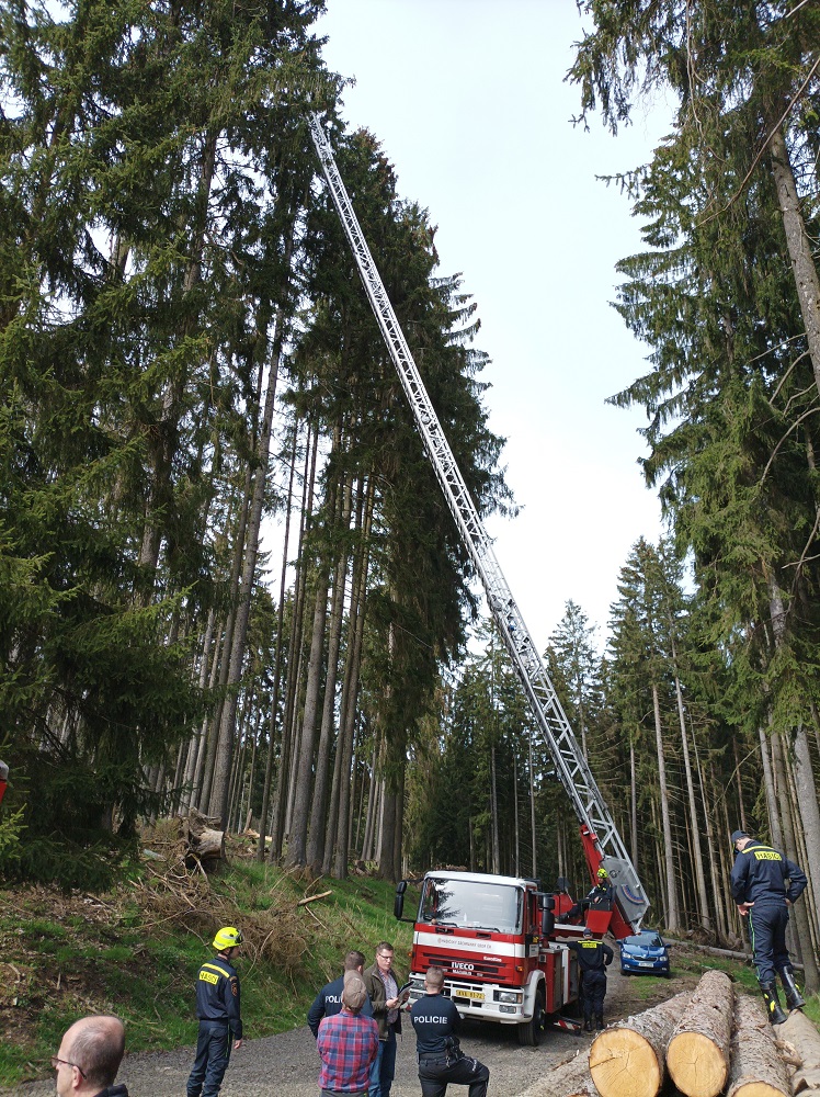 Hnízdo bylo ve výšce 35 metrů. Při jeho prohlídce proto asistovali hasiči s výsuvným žebříkem. Foto: Pavla Tájková