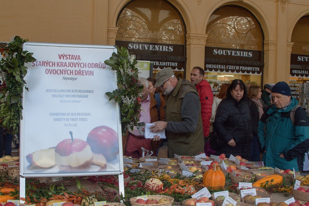 Lázeňský festival jablek v Mariánských Lázních. Foto: Petr Jiran.